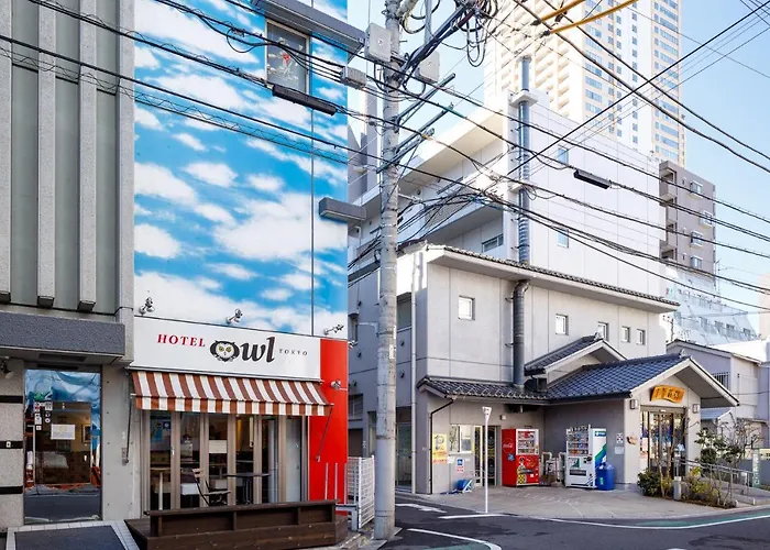 貓頭鷹飯店