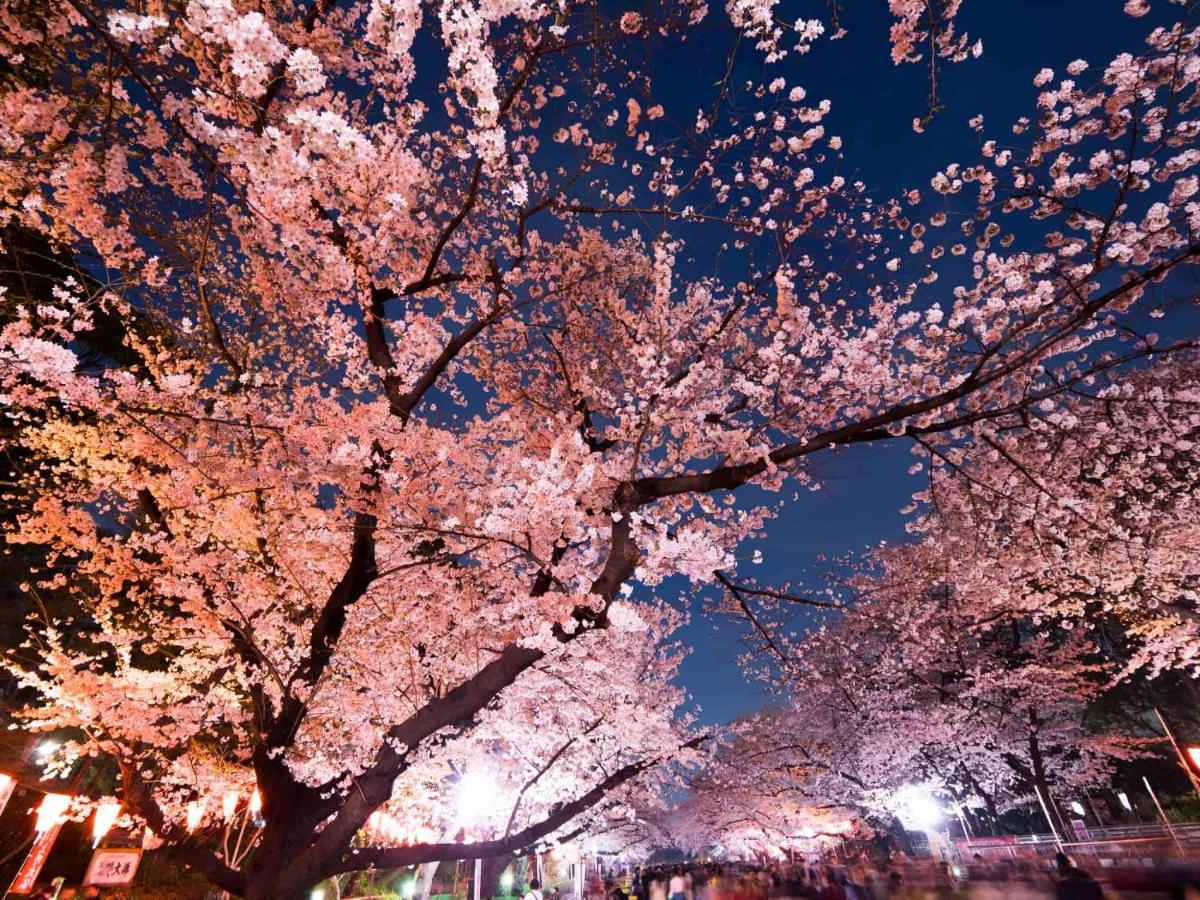 Kapselhotel Owl Nippori Präfektur Tokio